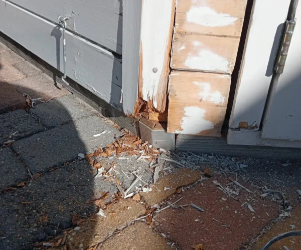 PHOTO-2024-10-29-09-27-08