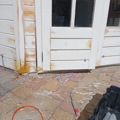 PHOTO-2024-10-29-09-27-09